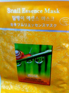 Korean snails